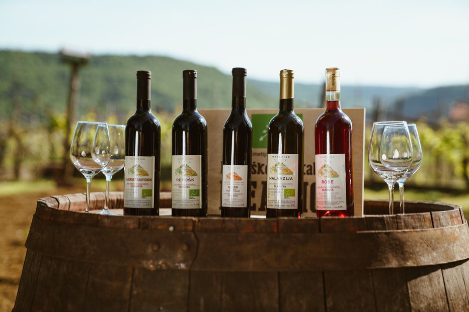 Fotografija: Na voljo so izbrana vina slovenske Istre.