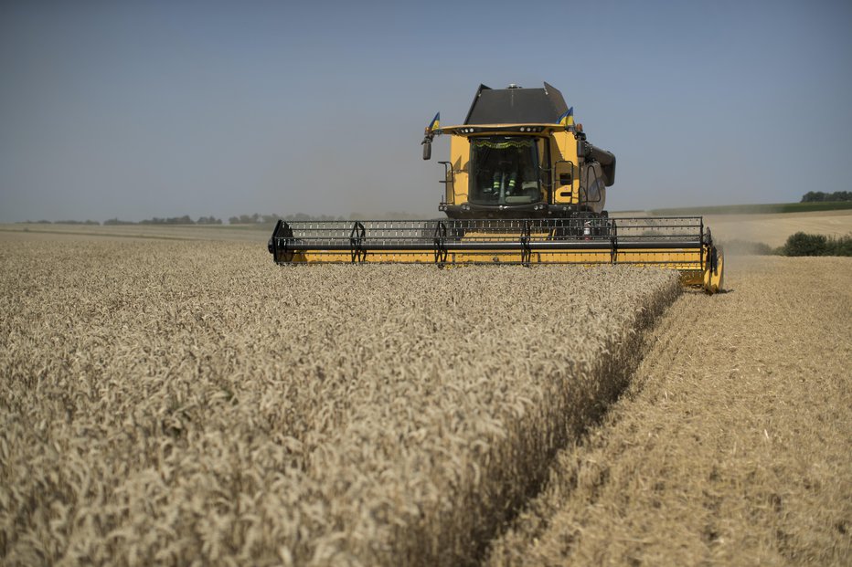 Fotografija: Rusija je sicer že pred tem večkrat zagrozila, da bo odpovedala sporazum o izvozu ukrajinskega žita, če bi prišlo do terorističnega napada ali sabotaže. FOTO: Jure Eržen, Delo
