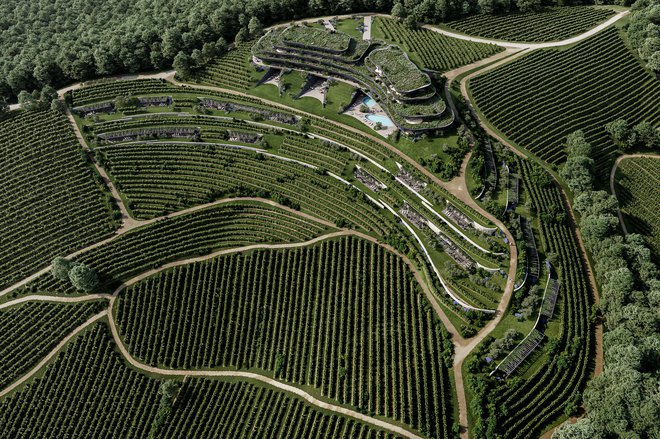Spa Resort Brda bodo zgradili sredi briških vinogradov. FOTO/PROJEKCIJA: SoNo Arhitekti
