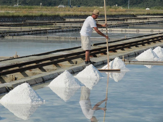 Pridelava soli je bila poleg ribištva glavni vir zaslužka za vse mesto.