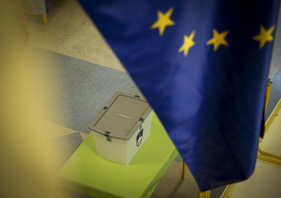 Fotografija: Referendumi bodo potekali ob evropskih volitvah. FOTO: Jože Suhadolnik